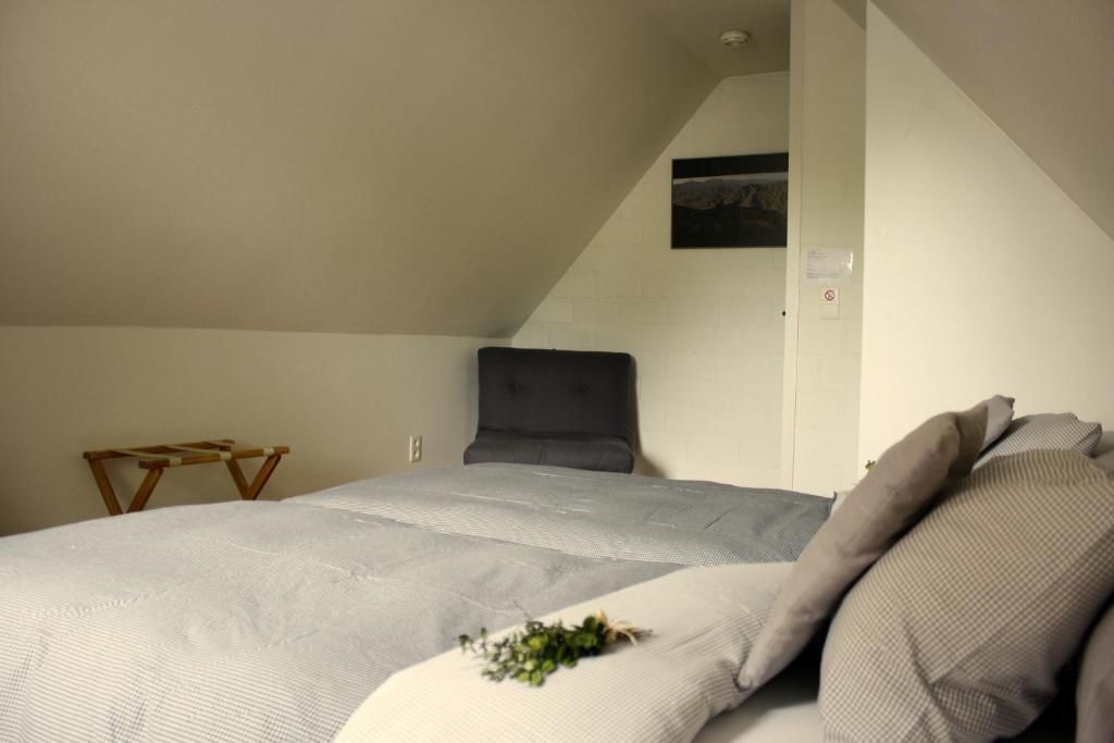 De Kastanjeboom Bed & Breakfast Jabbeke (West-Flanders)