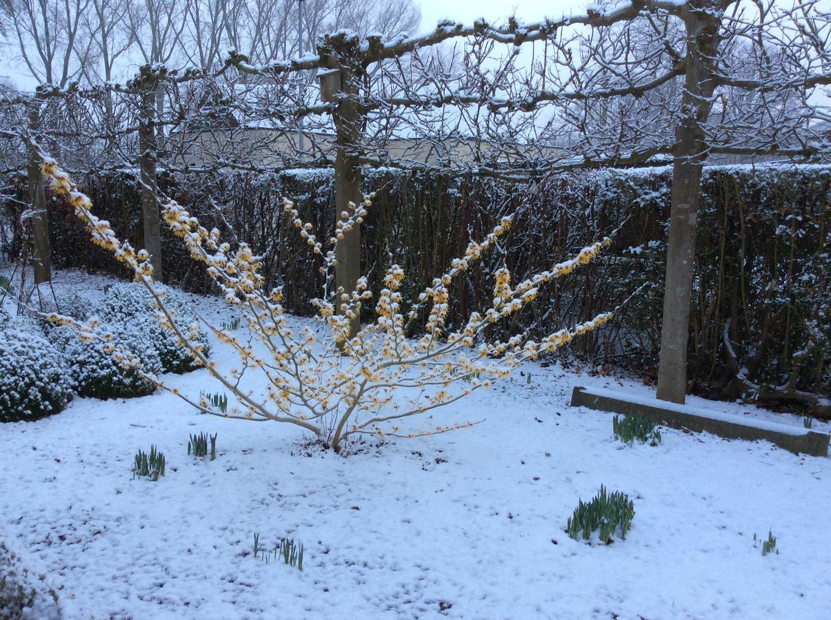 De Kastanjeboom Bed & Breakfast Jabbeke (West-Flanders)